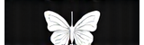 Insomniac Events Logo